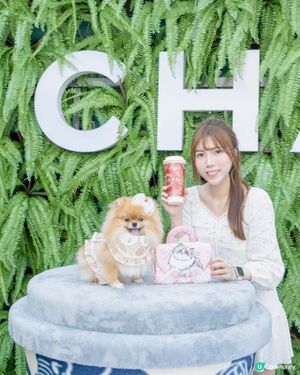 🐶💖 1881浪漫約會！米蘇蘇玩轉萌寵嘉年華！