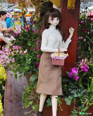 香港花卉展2025