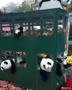 我想食千層蛋糕
2025香港花卉展 
浪漫旅人祭 
精簡護膚