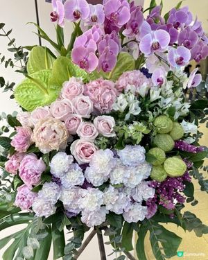 💐🎊《Congratulations》🎊💐