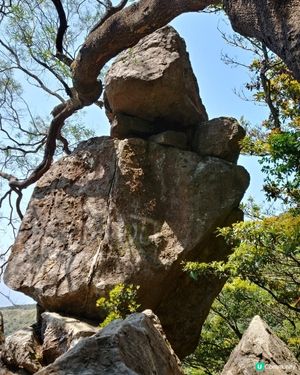 石頭記