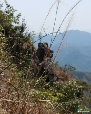 罰企
