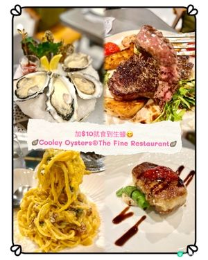 Cooley Oysters 