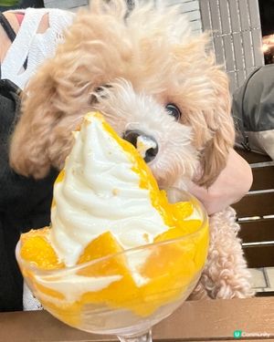 【錦田💕女生嘅大飯堂】照顧女生第二個胃
