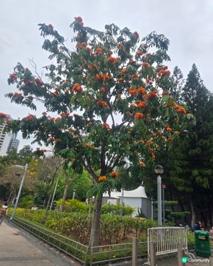 

UCreator 打卡美食 好去處 全新景點 chill