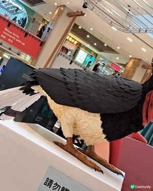 蘇門答臘展覽