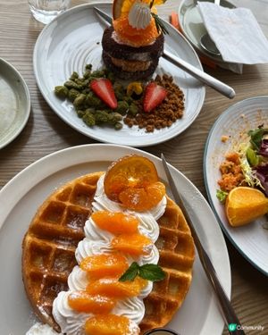 濟州柑Cafe