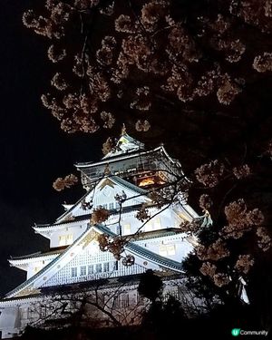 夜櫻