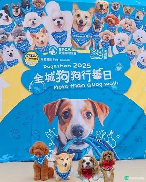 人寵馬場嘉年華