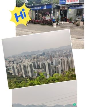 親子郊遊路線