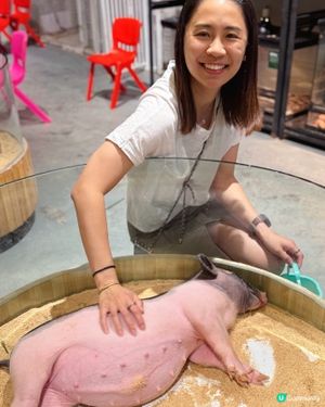 搵番我嘅同類 🐷🐷