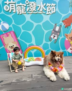 萌寵潑水節