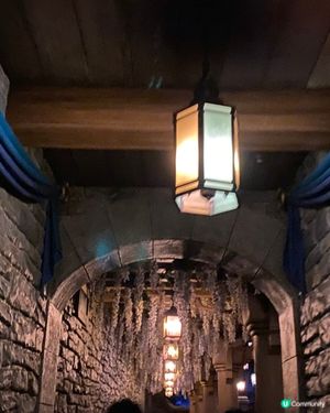 Disney castle 🏰 