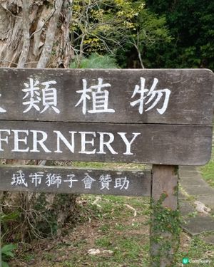 大自然其實很奇妙