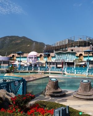 水族館好吸引