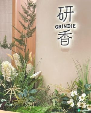 開心果迷必食