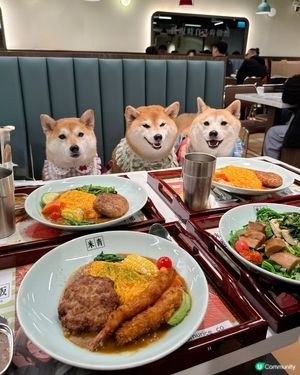 帶毛孩一齊食蛋包飯