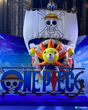 One piece 🥊