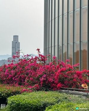 香港好去處 | 金鐘 | 添馬公園舞動水滴展