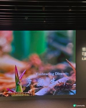 

UCreator 打卡美食 好去處 全新景點 chill