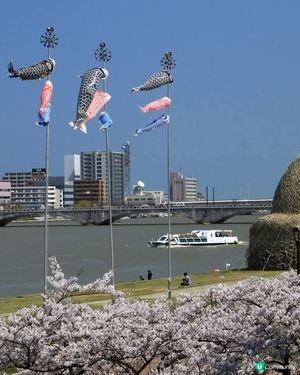 🎏 鯉魚節快樂！ 👦🏻👧🏻