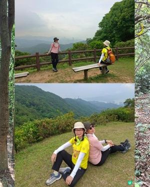 【荃錦公路至深井行山篇】麥理浩徑9段，八鄉山火瞭望台/鱷魚朝天🐊禾雀花果實