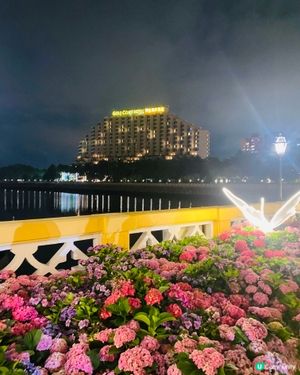 夜遊黃金海岸