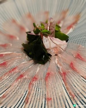 🍣尖沙咀日式料理探店｜諾士佛臺隱世高質「一遊」🇯🇵 一
