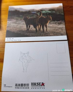香港農貓相片展覽