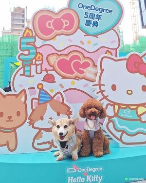 🎉 5周年人寵嘉年華  🐶🐱