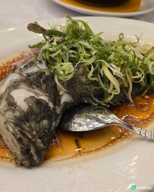 

中菜餐廳 UCreator  香港美食 九龍美食 港島美