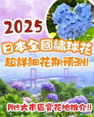 2025日本各地繡球花預測🪻附鎌倉/京都/福岡/大阪5大市區賞花地開花日期+祭典活動詳情