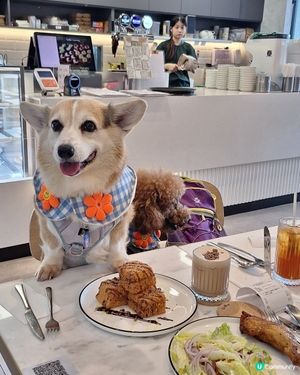 啟德零售館3 嘆美食 🐶❤️