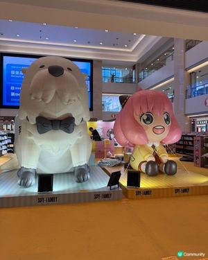 安妮亞來了～