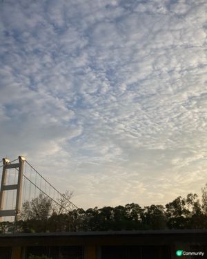 青馬大橋，夕陽無限好🌅