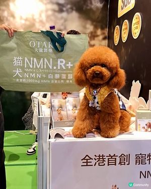 🐶 優質寵物用品展2025，仲有2日！🎉