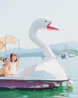 香港大美督🦢坐天鵝船仔嘆湖景🦢