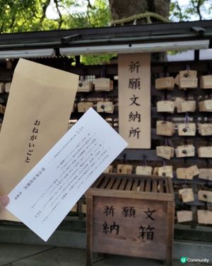 日本東京必去參拜勝地🔥明治神宮超壯麗景觀💜