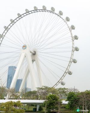 深圳歡樂港灣一日遊🎡📸！老少咸宜！