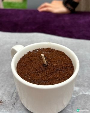 【新城市父親節市集☕️】咖啡控必去！蠟燭+試飲！🔥