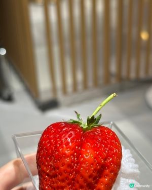 士多啤梨🍓解饞又消暑！SOGO一粒起！😋