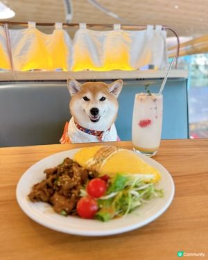 / 帶毛孩食小清新韓式料理 \