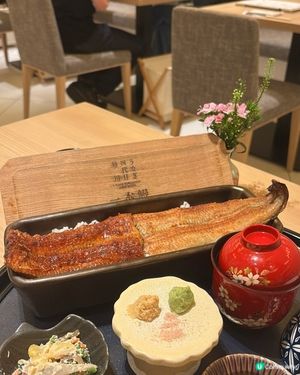 蒲燒白燒鰻魚雙拼🤤！正宗日本味！