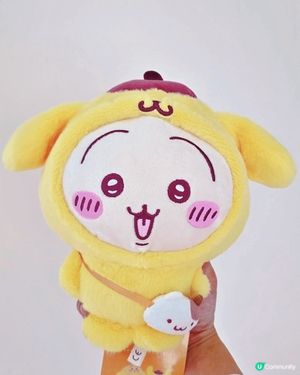 兔哥變身布甸狗！😍 超可愛聯乘分享！ 🐰🍮 