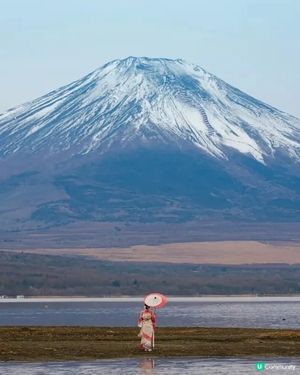 富士山一日遊5折優惠！🗻 即搶！