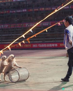 觀瀾湖一日遊！🎡玩到癲！🤩