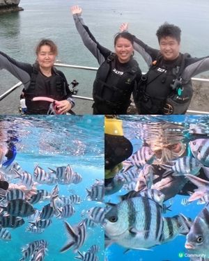 沖繩潛水記！青之洞窟🌊🐠 2025約定！