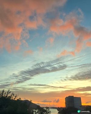 東涌樂遊