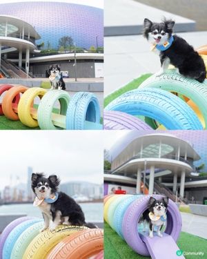 啟德新開嘅海濱花園真係好靚💕
有狗仔嘅玩樂設施🤩
放電日