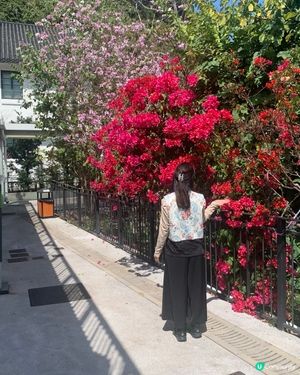 饒宗頤文化館